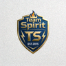 Team Spirit战队标志Logo图标